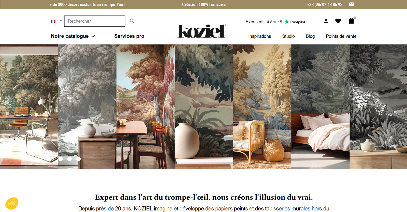 Page d’accueil du site Koziel